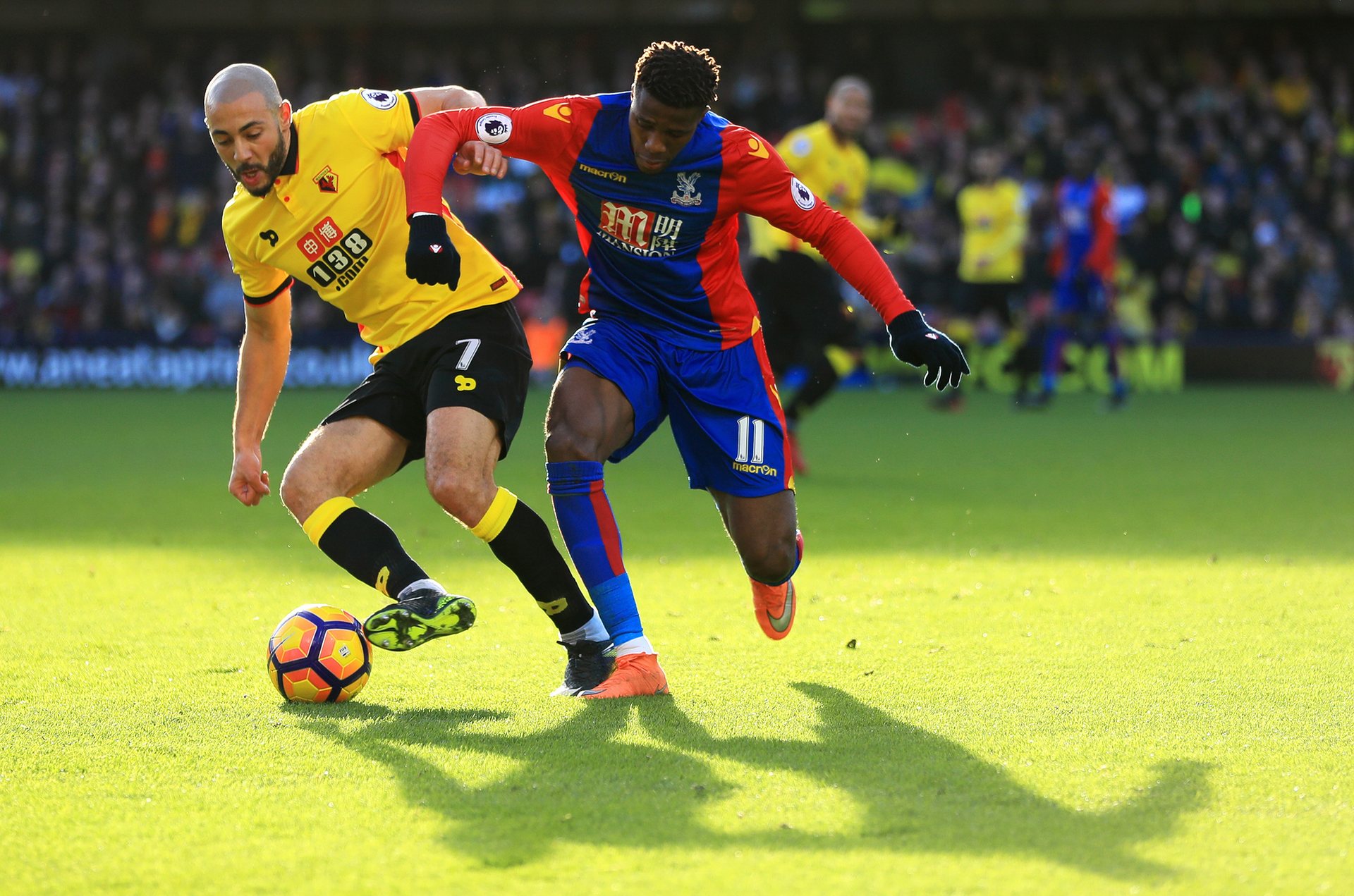 她的胜利不 她的胜利不